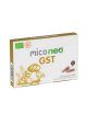 Mico Neo GST 60 Capsulas