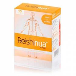 Reishi Nua Bebible