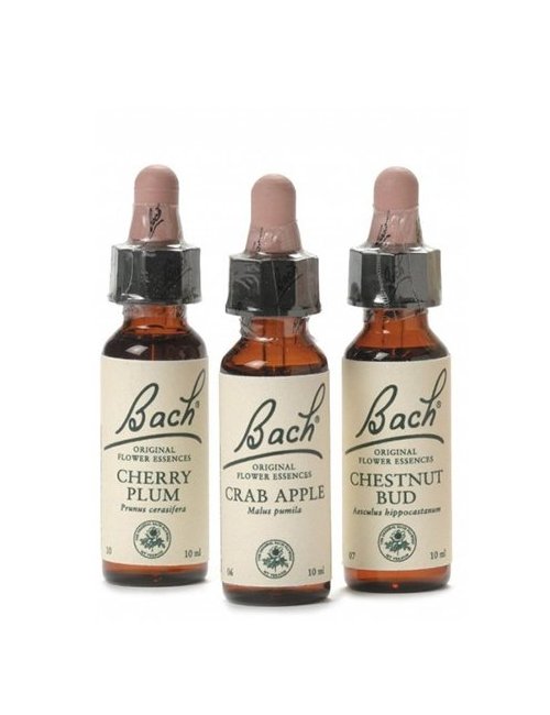 Flores de Bach Originales 20 ml. (Tintuta Madre) Flores de Bach Originales 20 ml. (Tintuta Madre)