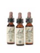 Flores de Bach Originales 20 ml. (Tintuta Madre)