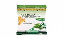 Specchiasol Caramelos Propóleo y Plantas Silvestres