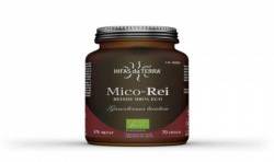 Hifas Da Terra Mico-Rei 70 Caps.