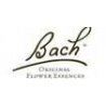 Bach Flower