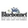 Bluebonnet